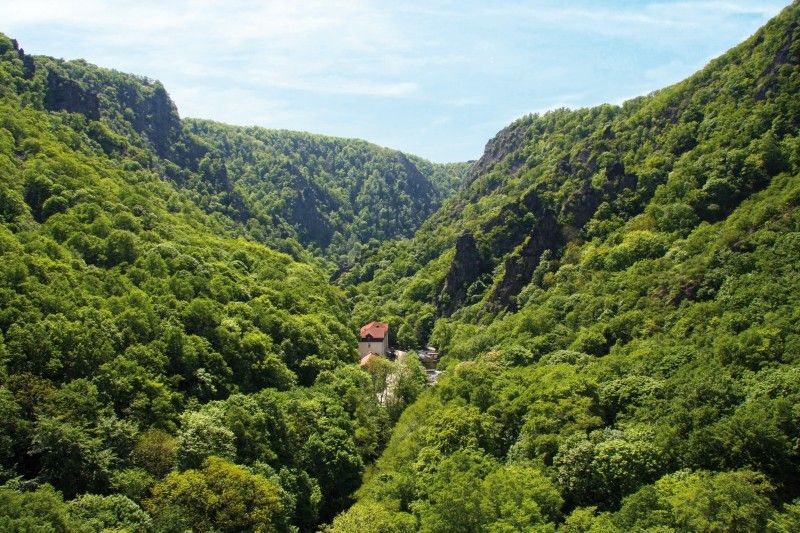 Urlaub im Naturpark Harz