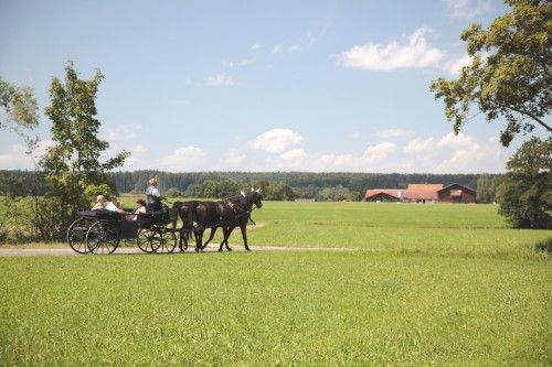 Pferdekutsche mit vier Personen auf einem ländlichen Weg, umgeben von grünen Feldern und Bäumen.